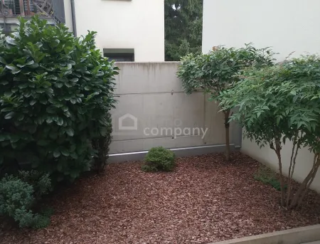 Garten hinten