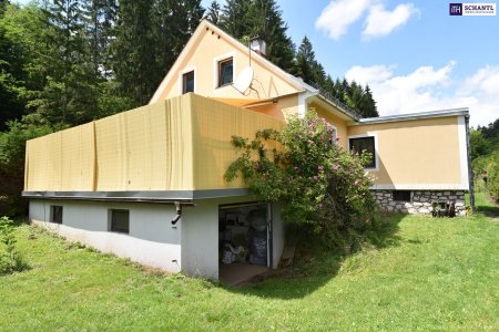 Großzügiges Einfamilienhaus mit 2.270 m² Grundstück und vielseitigen Nutzungsmöglichkeiten