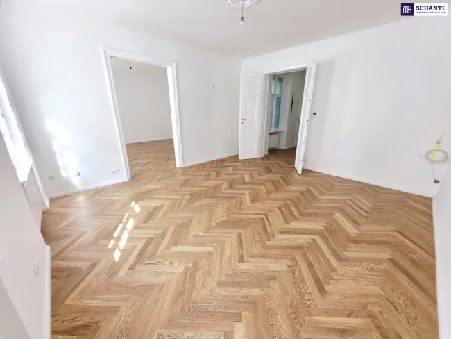 Altbau zum Verlieben - Flügeltüren, Ruhelage und Josefstadt-Flair! Sanierte 2-Zimmer Wohnung mit Seltenheitswert im Lieblingsbezirk! - Bild