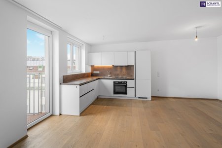 Wohn-, Essbereich, Küche, Zugang zum Balkon