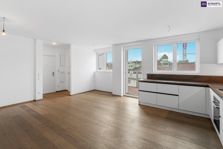 Wohn-, Essbereich, Küche, Zugang zum Balkon