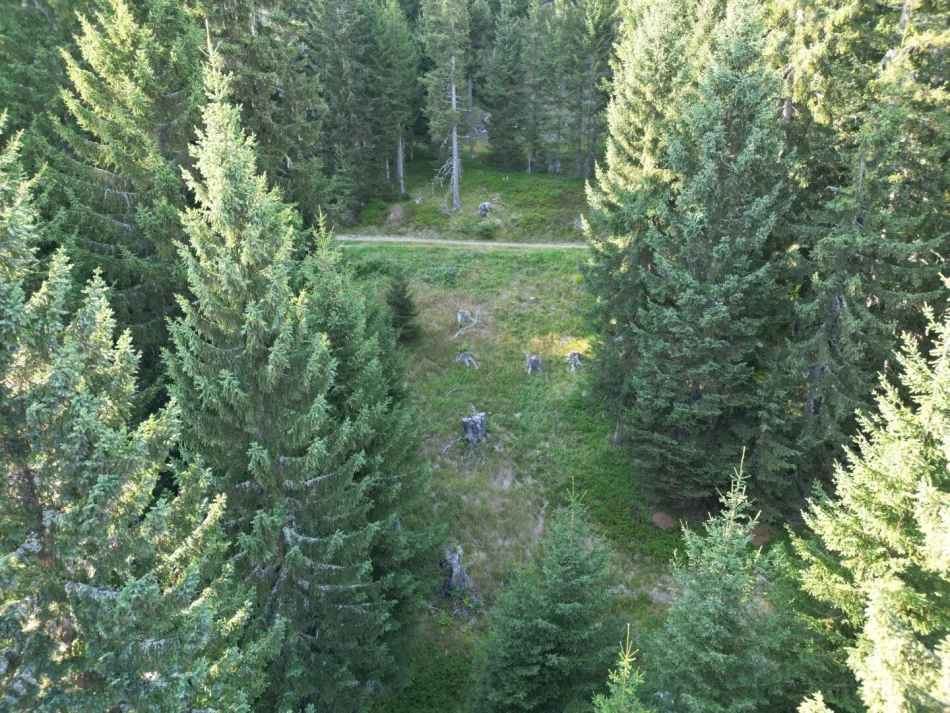 Freizeitwohnsitz auf der Gerlitzen - FZW-Baufeld mit rund 2.200 m² Grund - Bild