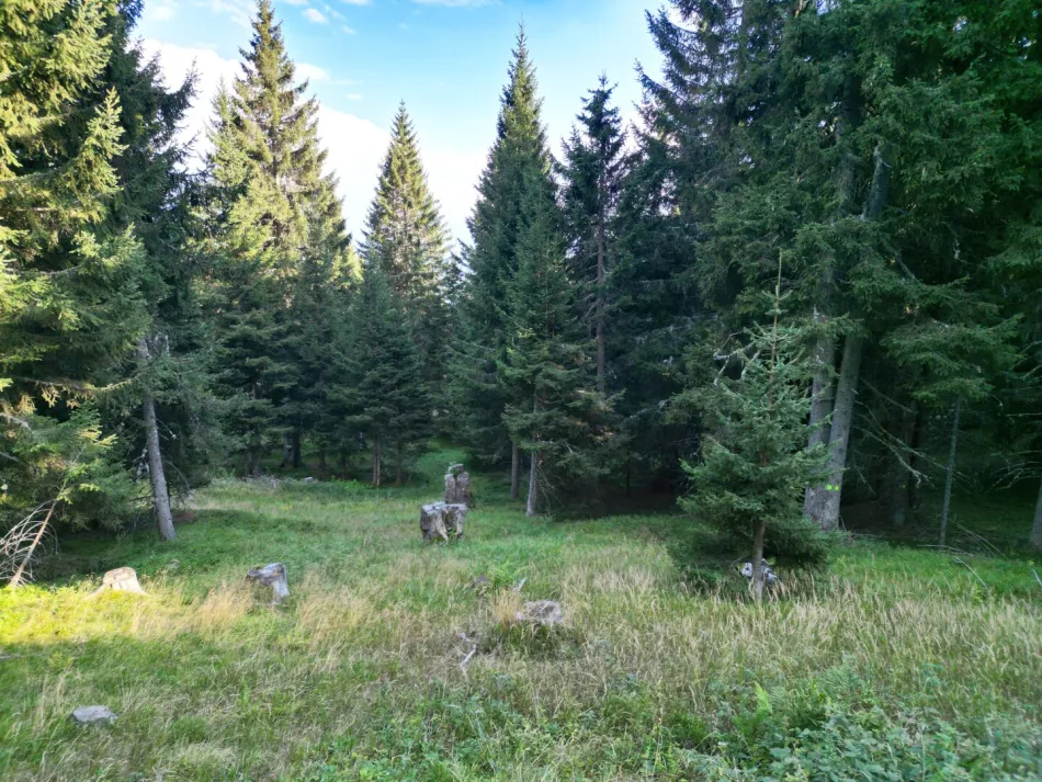 Freizeitwohnsitz auf der Gerlitzen - FZW-Baufeld mit rund 2.200 m² Grund - Bild