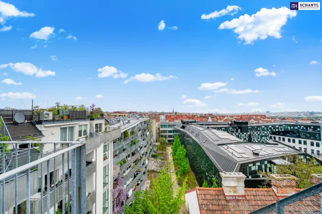 Ausblick von der Terrasse