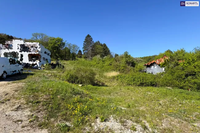 Sonnige Liegenschaft mit Entwicklungspotenzial