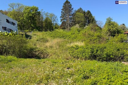 Sonnige Liegenschaft mit Entwicklungspotenzial