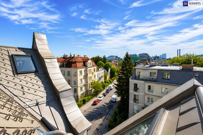 Blick über das Stadtviertel vom Dach