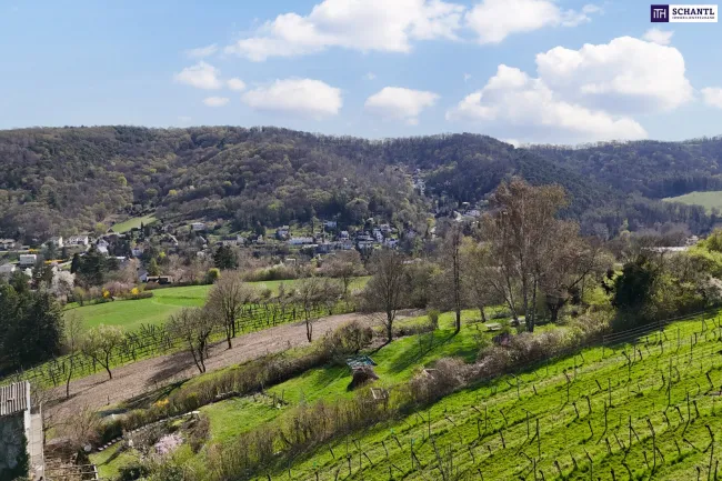 Ausblick, Umgebung