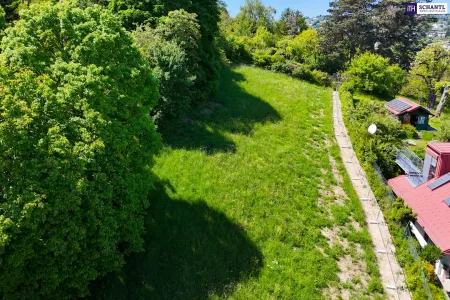 Grundstück, westliche Seite