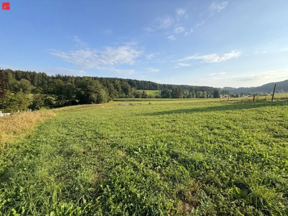 Natur Pur: Bauland mit attraktiver Aussicht - Bild