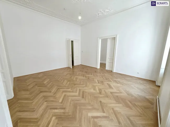 Altbauflair in 1090 Wien mit viel Platz! 5 Zimmer + Stuck + Flügeltüren + Traumhaftes Altbauhaus + Hohe Räume + Tolle Lage beim Liechtensteinpark + Beste Infrastruktur! - Titelbild