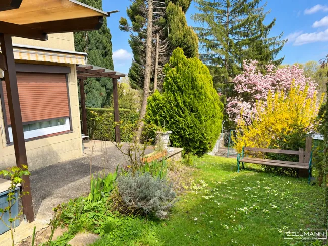 RARITÄT MIT POTENZIAL – Eingewachsenes Grundstück mit Altbestand und Pool | ZELLMANN IMMOBILIEN