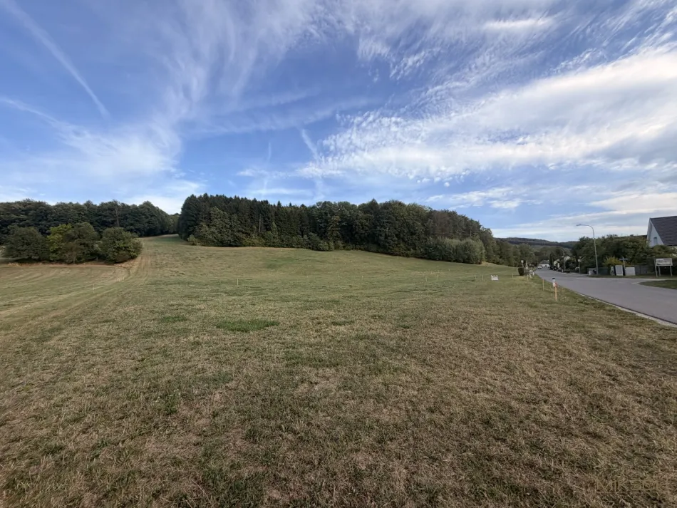 Großzügiges Baugrundstück I 641 m² I in 3143 Pyhra/Wald I ohne Bauzwang I sofort verfügbar - Titelbild