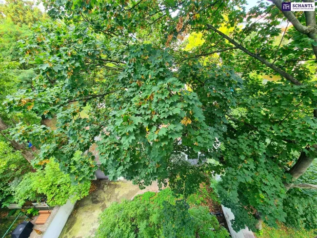SOMMER Aktion: Nur 50% Provision! Die leise Seite des Stadtlebens! Kompakte Kleinstwohnung im 3.Stock mit eingereichtem, großen Balkon! U-Bahn um´s Eck! Ruhige Hoflage in 1030 Wien + Schönes Altbauhaus! Nicht zögern! - Bild