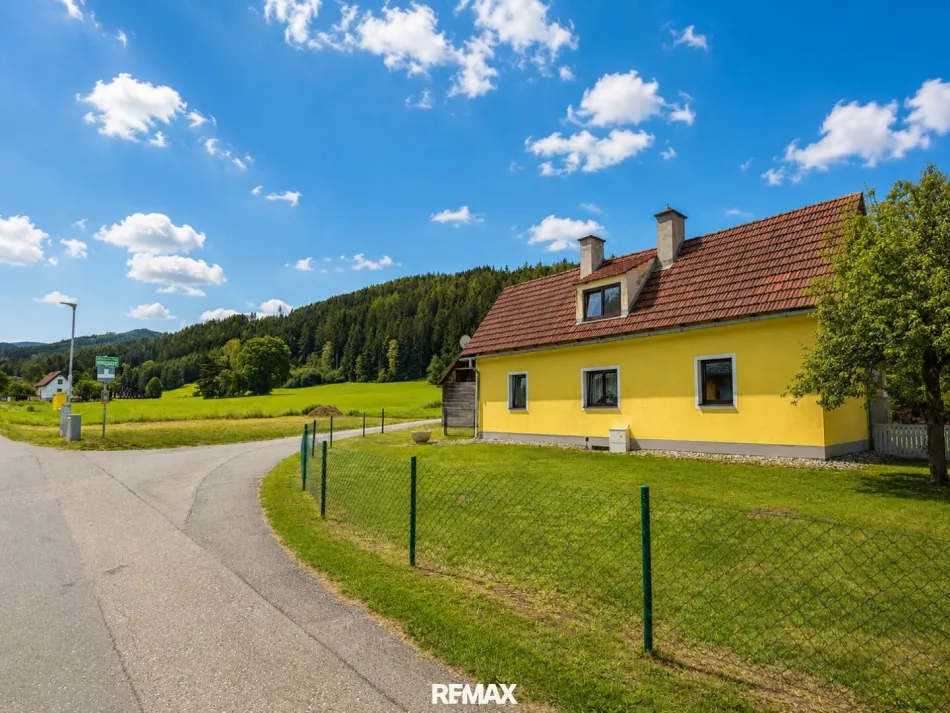 *** Ein Zuhause für Macher - ~106 m² Wohnfläche, ~40 m² Nebengebäude & 1.254 m² ebener Grund mit viel Potenzial für Hobby, Garten und neue Ideen *** - Bild