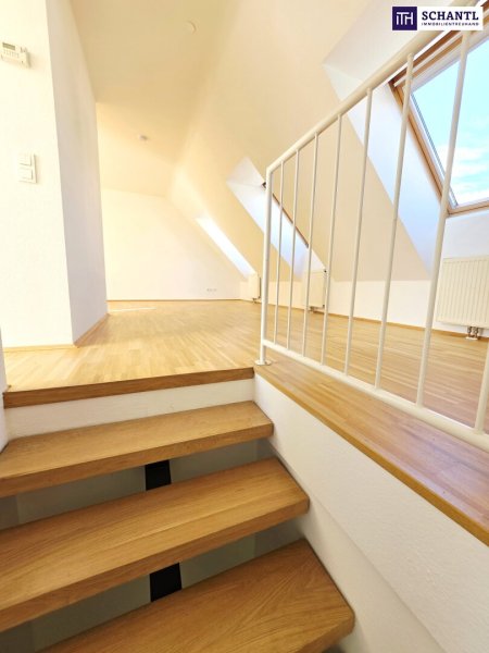 SOMMER Aktion: Nur 50% Provision! Traumblick - Ihr Logenplatz über der Stadt! Wohnen im Dachgeschoss mit WOW-Effekt! Traumhaft saniertes Altbauhaus + Hofseitige Terrasse + Tolle Infrastruktur und Anbindung + Lebensqualität pur!