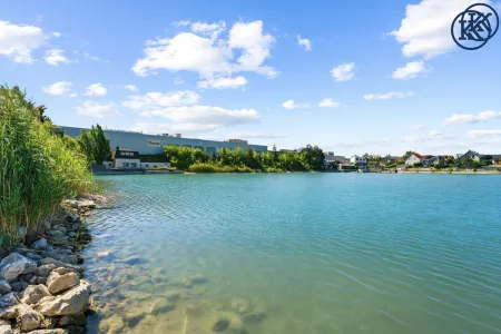 Teich