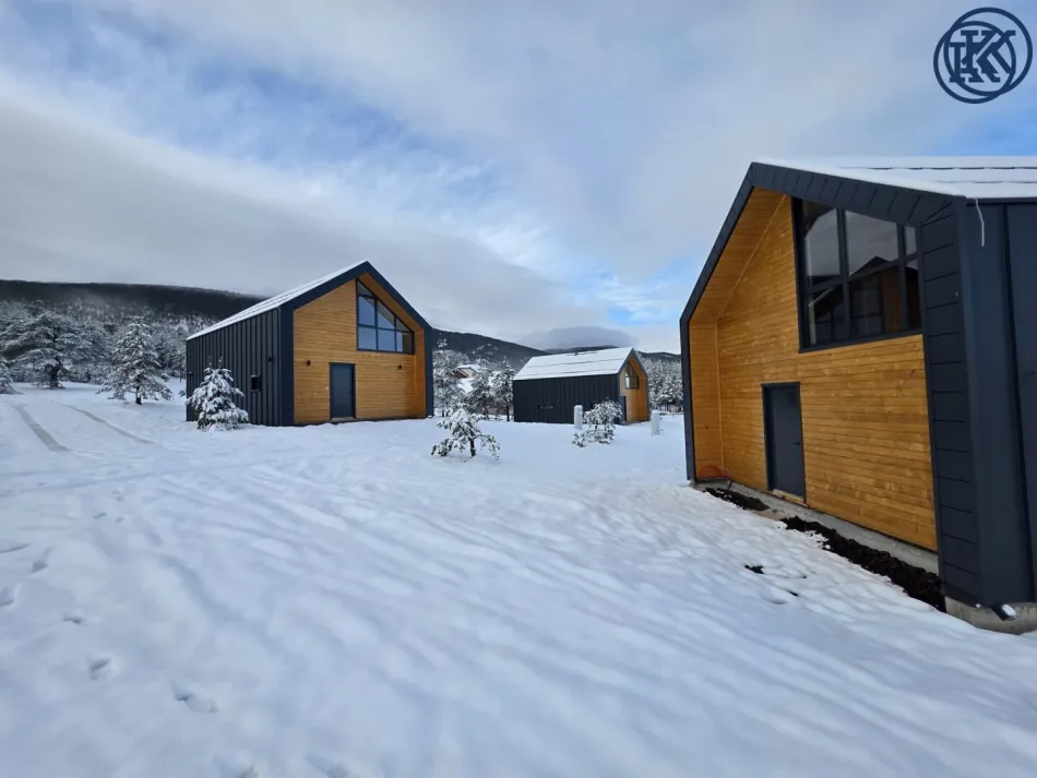 Haus