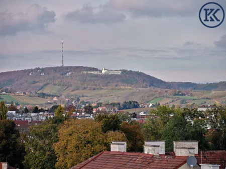 Ausblick