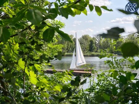 Alte Donau