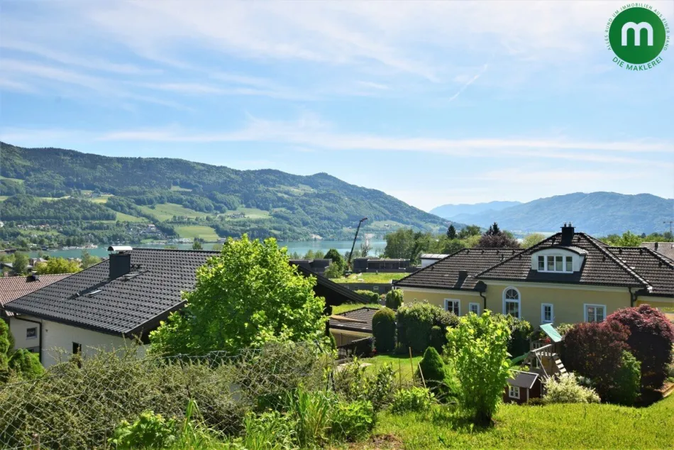 Ausblick