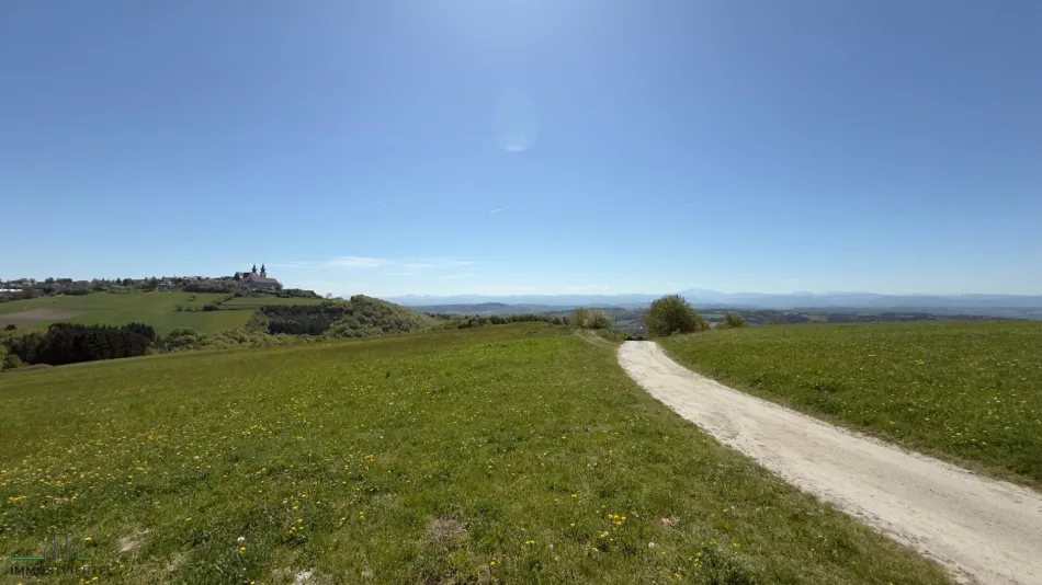 Großes Grundstück mit herrlicher Aussicht auf Maria Taferl und ins Alpenvorland! Hobbylandwirtschaft möglich! - Bild