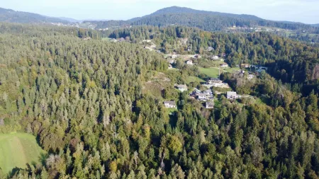 Luftbild vom Techelsberg und dem Grundstück