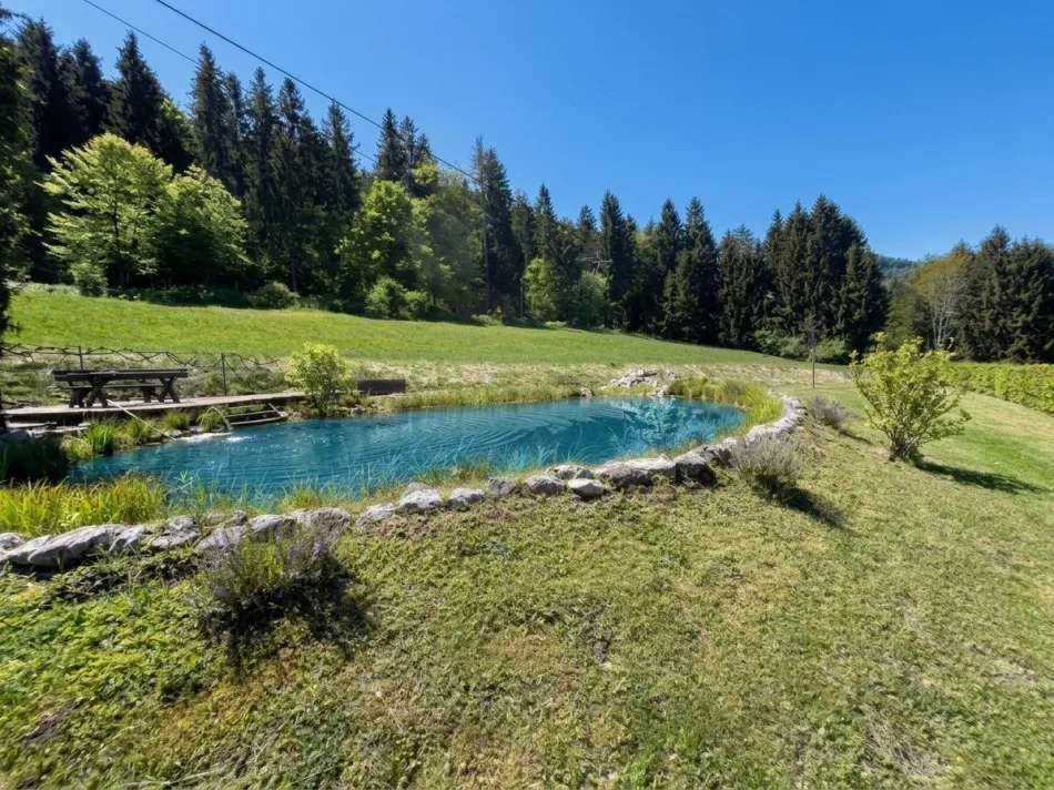 Naturparadies in Rosegg – Grundstück mit eigenem Teich & Hütte - Bild