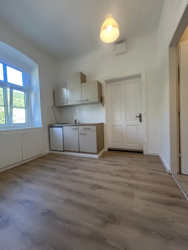 Renovierte Wohnung in beliebter Wohnlage - Bild