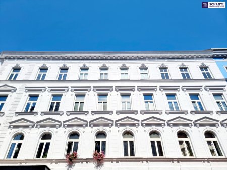 SOMMER Aktion: Nur 50% Provision! Das Haus trägt Smoking, die Wohnung wartet noch auf ihr Kleid! Renovierungsbedürftige Altbauwohnung mit toller Raumaufteilung + Traumhaft schönes Haus + Perfekte Infrastruktur und Anbindung! Jetzt zugreifen!