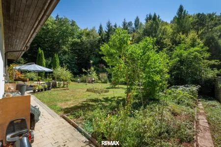 Blick in den Garten