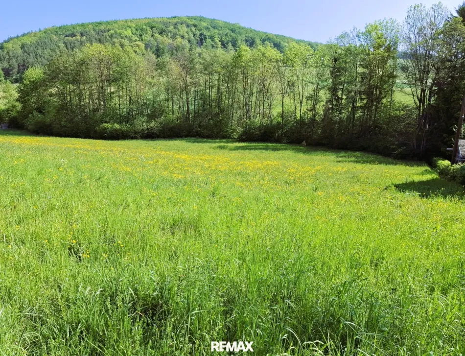 BAUTRÄGER AUFGEPASST! Gesamt ca. 8.380 m² Wohnbau- Grundstück in Grünruhelage, nähe A 21 - Titelbild