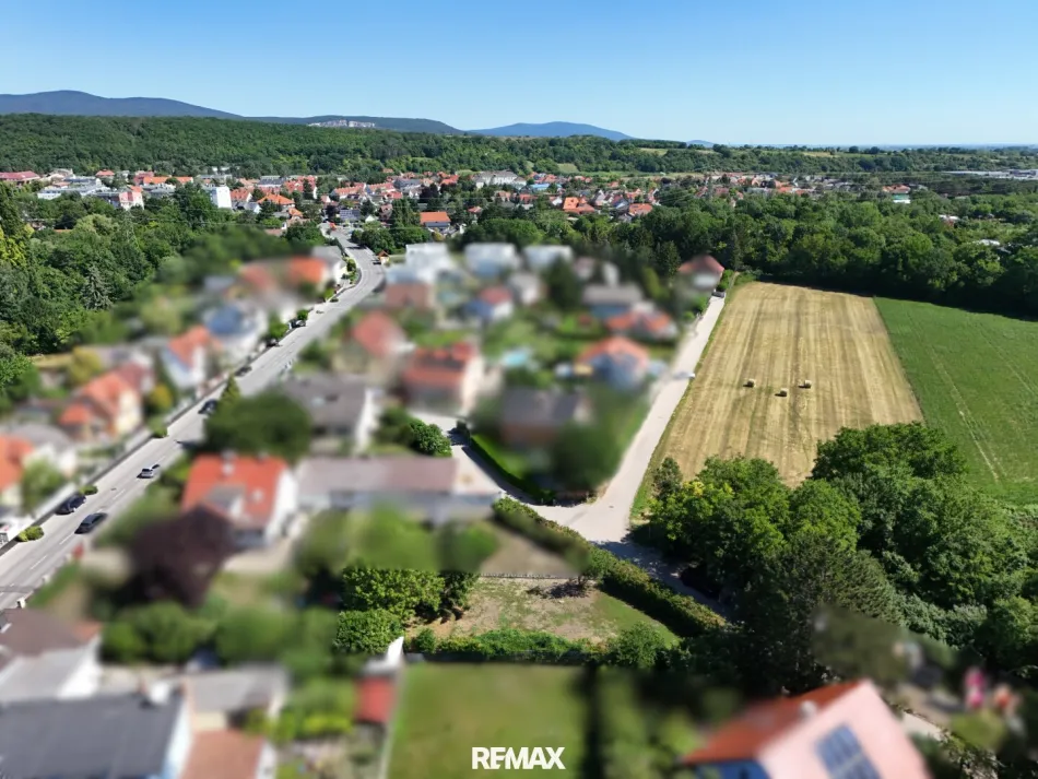 TRAUM-BAUGRUND 529m² in Enzesfeld-Lindabrunn – Eigenheim bauen zum Top-Preis! - Bild