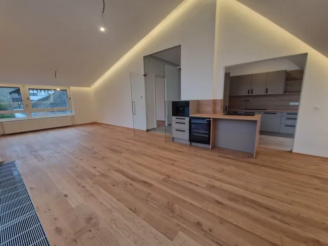 PÖTZLEINSDORFER PARK - NEU SANIERT - LOFTARTIGE ARCHITEKTENWOHNUNG - TRAUMHAFTE LAGE - GRÜNBLICK - 4 ZIMMER + grosser BALKON - Titelbild