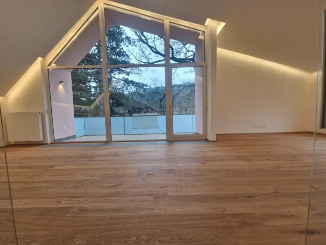 PÖTZLEINSDORFER PARK - NEU SANIERT - LOFTARTIGE ARCHITEKTENWOHNUNG - TRAUMHAFTE LAGE - GRÜNBLICK - 4 ZIMMER + grosser BALKON - Bild