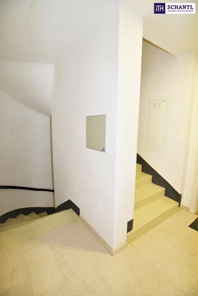 Neuer Preis! Erstbezug! Kleine Terrasse im Hof + Geschmackvoll sanierte Altbauwohnung + Tolle Raumaufteilung + Rundum saniertes Gebäude! Jetzt zugreifen! - Bild