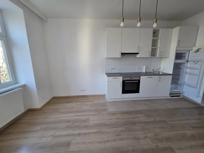 NEUWERTIGE 1,5 ZIMMER WOHNUNG-Quellenstrasse - Titelbild