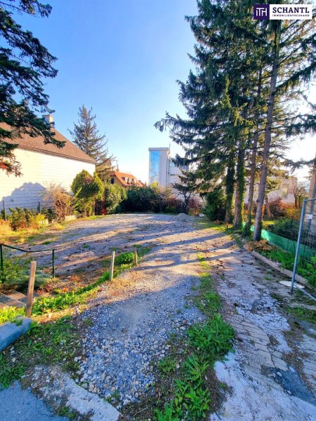 Neuer Preis - Rarität! Großartiges Baugrundstück am Schafberg! Bestlage + Attraktiver Wohnbau möglich oder Traum vom eigenen Haus erfüllen! Jetzt zugreifen!