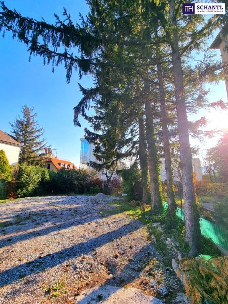Neuer Preis - Rarität! Großartiges Baugrundstück am Schafberg! Bestlage + Attraktiver Wohnbau möglich oder Traum vom eigenen Haus erfüllen! Jetzt zugreifen!