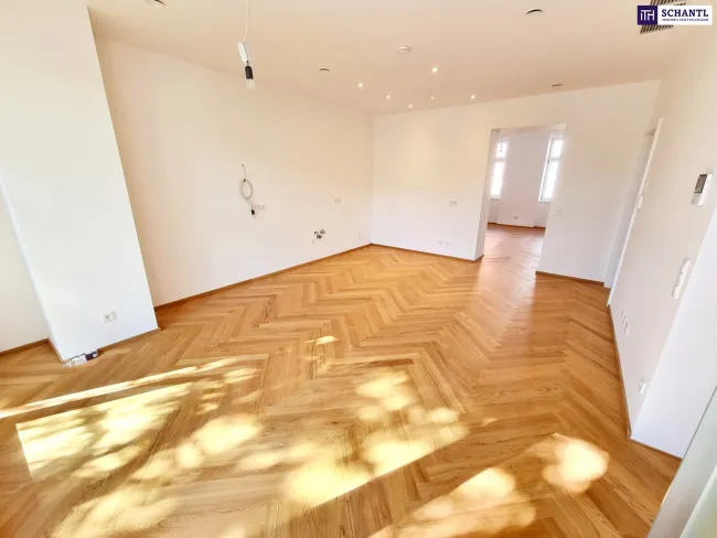 LETZTE WOHNUNG - Schnell sein! Ein Altbau, der verzaubert! Umfangreich und hochwertig sanierte Wohnschönheit mit großem Balkon und effizienter Erdwärme! Viel Privatsphäre + Viel Raum + Viel Grün! - Bild