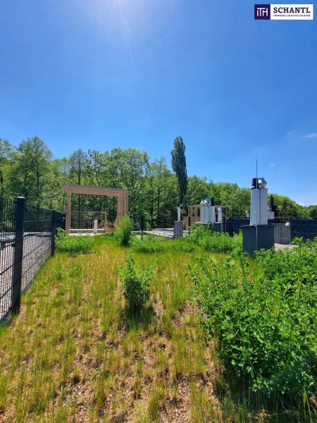 FIRE SALE!! Ein Platz, der mehr kann als wohnen. Wohnen mit WOW-Effekt! Riesiger Balkon und Terrasse + Privater Dachgarten + Grün wohin das Auge reicht + Luftwärmepumpe!