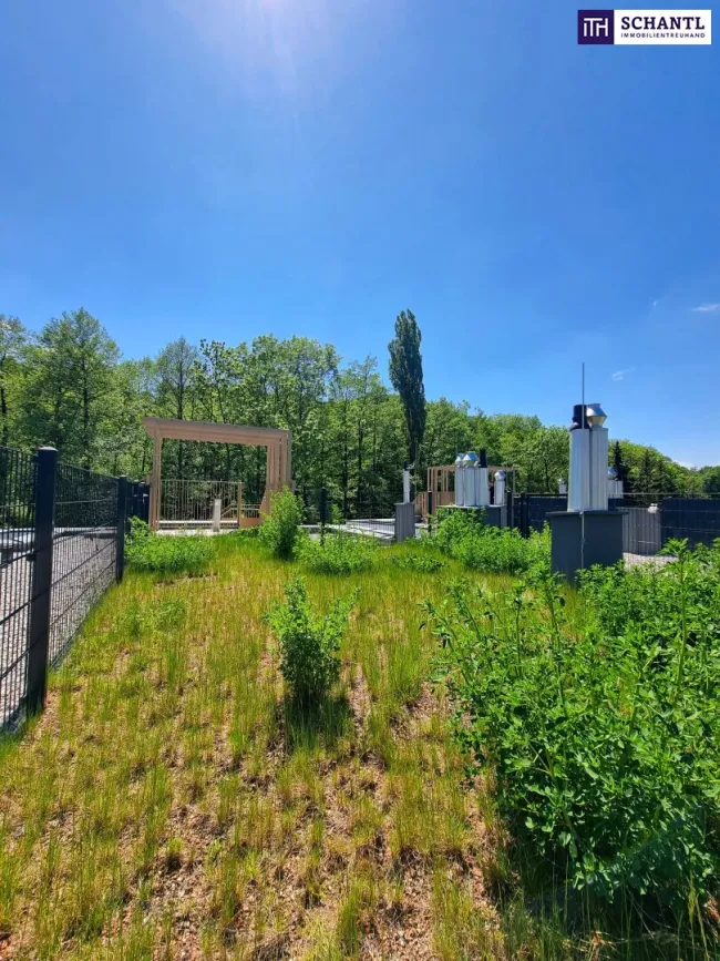 FIRE SALE!! Ein Platz, der mehr kann als wohnen. Wohnen mit WOW-Effekt! Riesiger Balkon und Terrasse + Privater Dachgarten + Grün wohin das Auge reicht + Luftwärmepumpe! - Bild