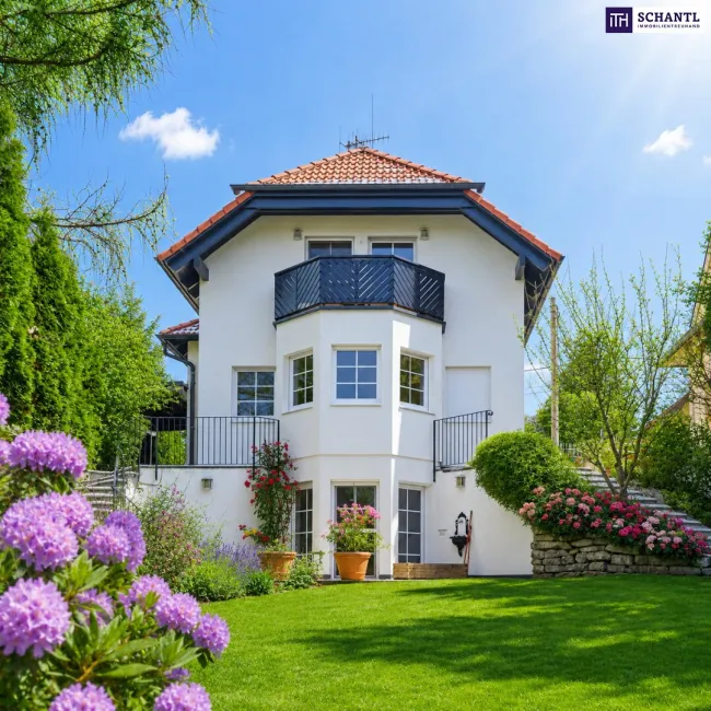 SOMMER Aktion: Nur 50% Provision! Frisch renoviert! Make your dreams come true! Traumlage + Traumhaus + Indoor Pool + Sauna + Toller Wienblick + Grün wohin das Auge reicht! Enjoy life! - Titelbild