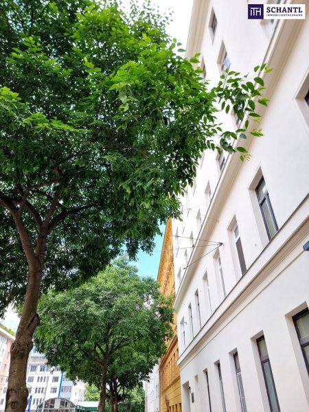 Bring Ideen mit. Der Rest ist da! Tolle Familienwohnung/WG - Selbst Gestalten! Sanierungsbedürftige Altbauwohnung! U-Bahn ums Eck + Traumhaft renoviertes Altbauhaus + Optimalste Infrastruktur und Anbindung!