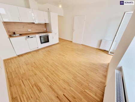 SOMMER Aktion: Nur 50% Provision! Perfekte 3-Zimmer mit Terrasse! Hier will ich leben! Traumhaft saniertes Altbauhaus + Hofseitige Terrasse + Tolle Infrastruktur und Anbindung + Lebensqualität! Jetzt zugreifen!