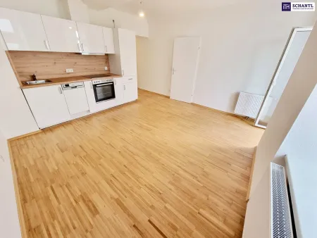 Jetzt kurzfristig 50% Provision sparen! Perfekte 3-Zimmer mit Terrasse! Hier will ich leben! Traumhaft saniertes Altbauhaus + Hofseitige Terrasse + Tolle Infrastruktur und Anbindung + Lebensqualität! Jetzt zugreifen!