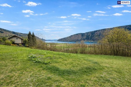 Schnell sein bei dem Preis! Seltenes Baugrundstück mit genialem Donau-Blick in ruhiger Lage: 2.168 m² für großzügiges Eigenheim, Mehrgenerationenwohnen oder Wohnen & Arbeiten auf einem Grundstück!