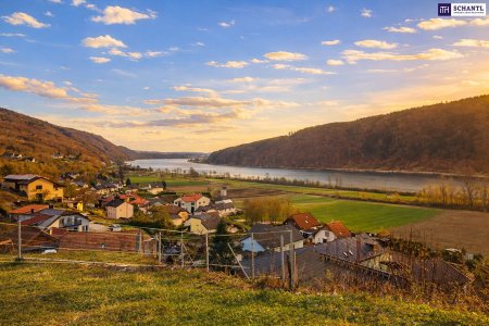 Schnell sein bei dem Preis! Seltenes Baugrundstück mit genialem Donau-Blick in ruhiger Lage: 2.168 m² für großzügiges Eigenheim, Mehrgenerationenwohnen oder Wohnen & Arbeiten auf einem Grundstück!