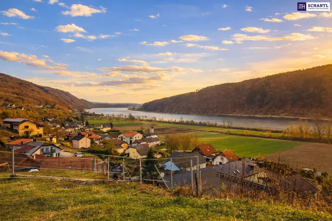 Schnell sein bei dem Preis! Seltenes Baugrundstück mit genialem Donau-Blick in ruhiger Lage: 2.168 m² für großzügiges Eigenheim, Mehrgenerationenwohnen oder Wohnen & Arbeiten auf einem Grundstück! - Titelbild