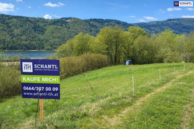 Schnell sein bei dem Preis! Seltenes Baugrundstück mit genialem Donau-Blick in ruhiger Lage: 2.168 m² für großzügiges Eigenheim, Mehrgenerationenwohnen oder Wohnen & Arbeiten auf einem Grundstück! - Bild